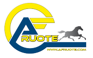 AF RUOTE srls logo