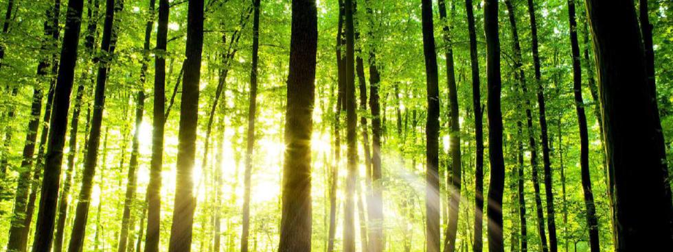 NUOVE ENERGIE S.R.L.