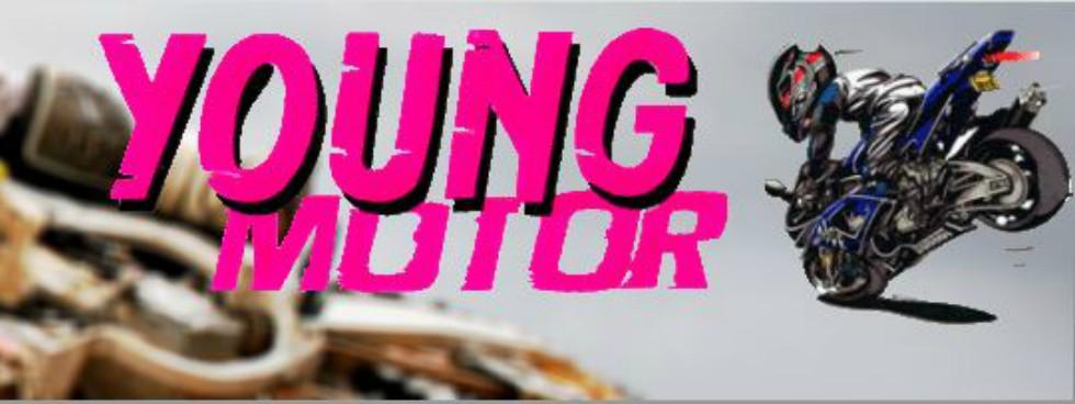 YOUNG MOTOR perignano