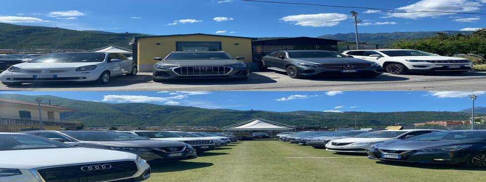AUTO D'ANIELLO SRL VENDITA & NOLEGGIO