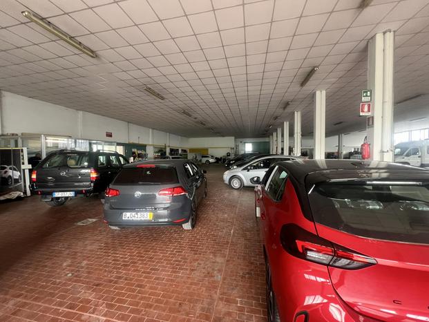 PAZZARELLI AUTO - Macerata | Subito