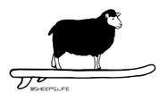 SHEEPS LIFE logo
