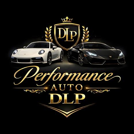 PERFORMANCE AUTO DLP - Riva del Po | Subito