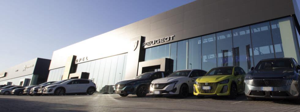 MANZOTTI srl