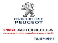 P.M.A. AUTO DI LELLA s.r.l logo