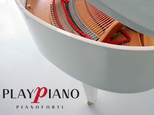 PlayPiano Pianoforti - Rovigo | Subito