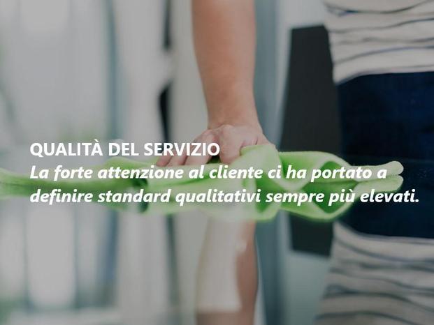 PULIVERDE Srl - Venezia | Subito