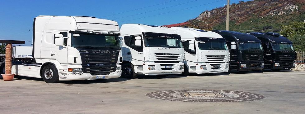 Squitieri Cosimo s.a.s