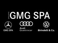 Gruppo GMG SPA logo