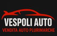 VESPOLI AUTO logo
