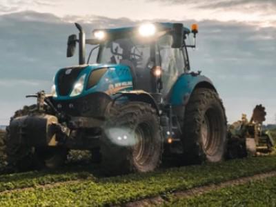 Diano Occasioni di Cardiello Antonio - Atena Lucana | Subito