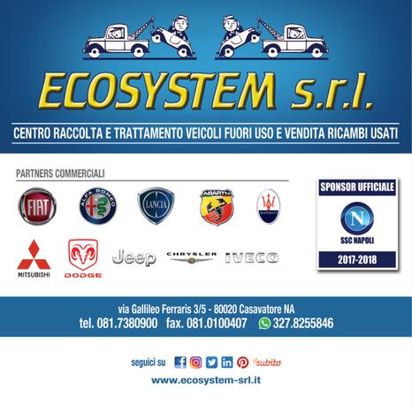 ECOSYSTEM SRL - Casavatore | Subito