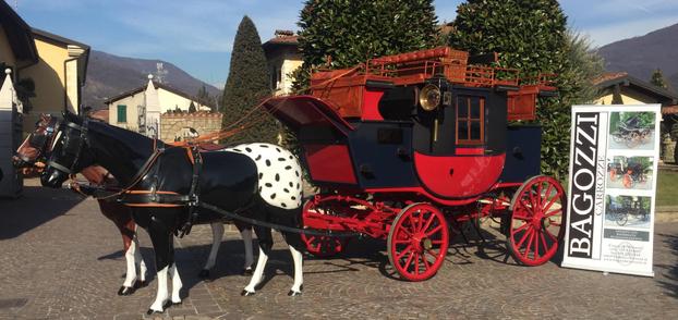 BAGOZZI CARROZZE - Baule-cassone equitazione per  - Subito