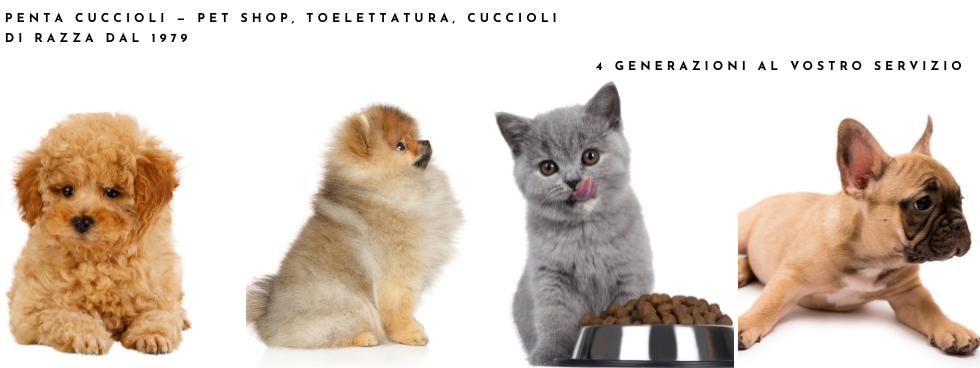 Penta Cuccioli