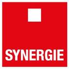 SYNERGIE ITALIA SPA logo
