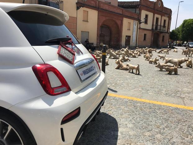 Beltrandi Auto Multimarche - Busca | Subito