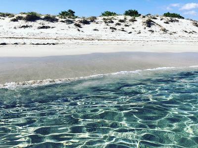 Real Estate Sud Sardegna Srl - Cagliari | Subito