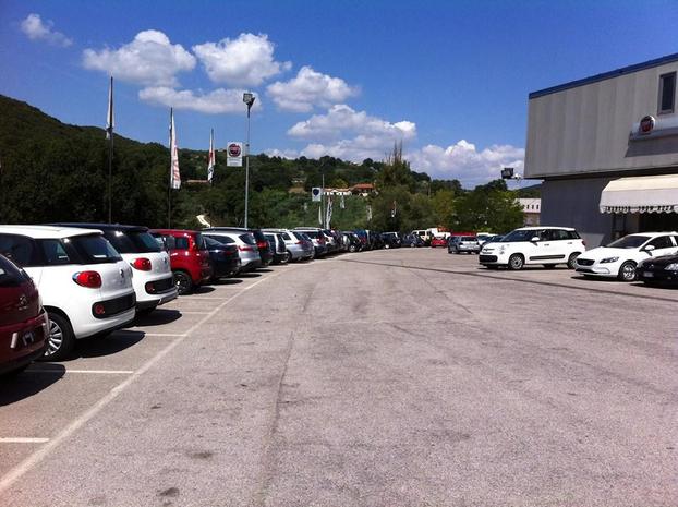 F.lli Cannetto Srl - Amelia | Subito