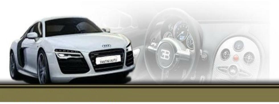 Fantini Auto srl