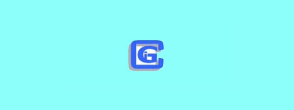 CO.GE.IM. SRL
